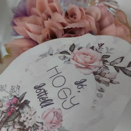 Fand Center Luxury * Szegedin